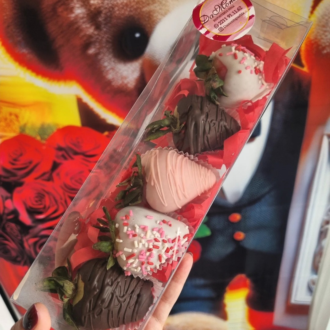 Fresas con chocolate Damonts